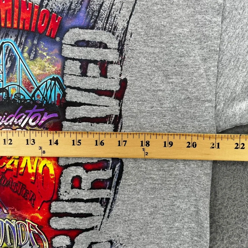 Kings Dominion I Survived Roller Coaster T-Shirt Gray Mens Large Cedar Fair Tee